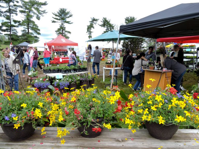 blandy Shallowbrooke Farm